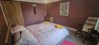 Cheerful two bedroom cottage in the Forest of Dean - 2 stjerner