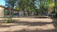 Quiet Bungalow in South West Reno. - Bungalows