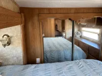 The Eagle Perched at Roosevelt Lake - 3-Star