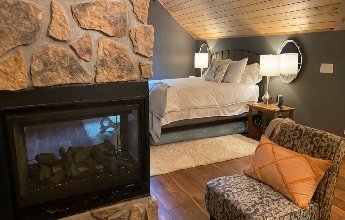 Luxury Suite on 7 Acres of Woods! Fireplace, Whirlpool!