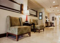 Hampton Inn by Hilton Torreon-Airport Galerias - 3-Star