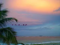 LITERALLY OCEANFRONT VILLA ALABASTER, DAWN BEACH w private pool ~ Owners' site - Villas