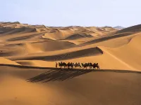 Zhongwei Tender Yishating · Tengger Desert Stargazing Study Homestay Collection - parcheggio