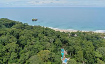 Cariblue Beach and Jungle Resort
