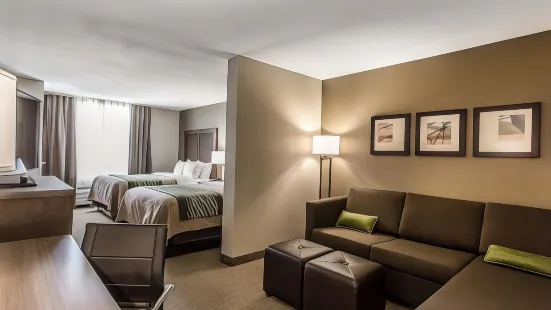 Comfort Inn & Suites Snyder