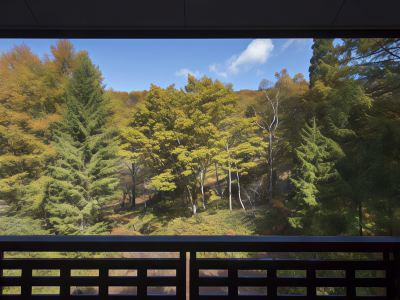 ホテルからの眺望 高山わんわんパラダイスの写真