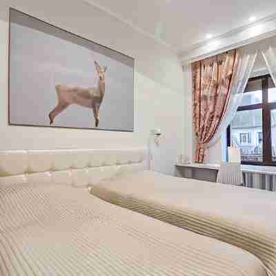 Ars Hotel Sibiria Rooms