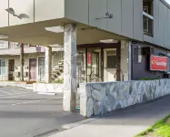 藤蔓酒店 戴維斯酒店