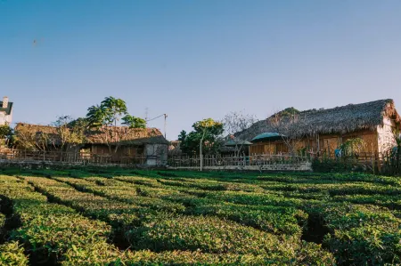 Sakura House - Vuon Dao