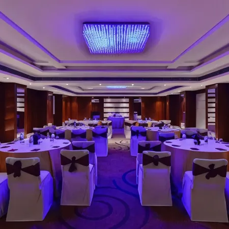 Lords Plaza Jaipur Отели рядом с достопримечательностью «Музей Альберт-Холл»