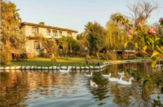 オタンティック タシ エヴ