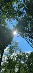 Roddy WildernessQuiet Quaint Home in the woods. - 2 stjerner
