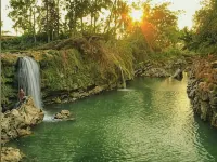 The New Orlinds Guest House Hotels in Karangmojo