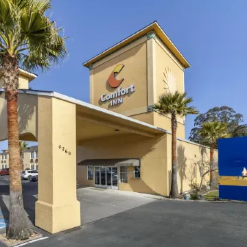 Comfort Inn Humboldt Bay