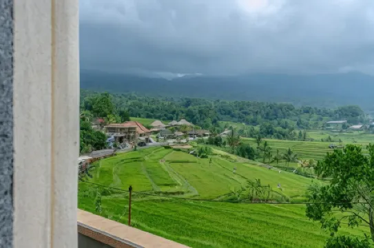 Adhi Jaya Suite Отели рядом с достопримечательностью «Batukau Mountain»