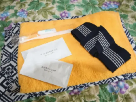 Business Hotel Shozan