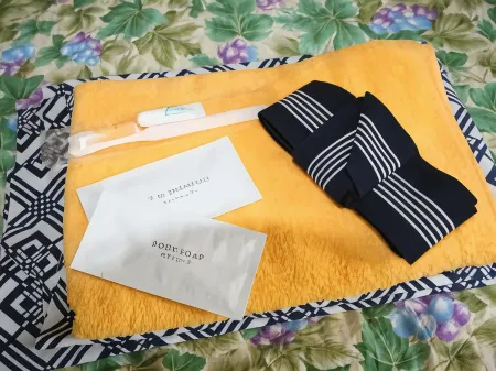 Business Hotel Shozan Отели в г. Симода