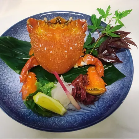 Yakushima Green Hotel