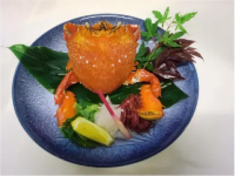 屋久島綠色酒店 熊毛郡酒店