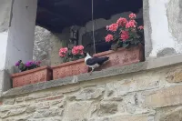 La casa di Nina appartamento in collina - Apartments