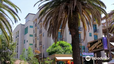 Jacaranda Hotel Hotel di 