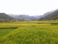Guangnan Countryside Light Farmhouse Homestay