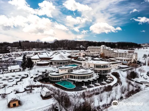 Avita Resort Bad Tatzmannsdorf - Spa