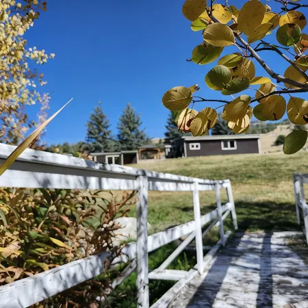 2 separate cabins, sleeps a total of 12, on 4 acres in Lava Hot Springs!!