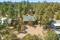 Charming 2-bedroom Cabin with WiFi, Wood Stove and AC in serene Heber-Overgaard! - Wifi
