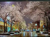 The Barron Historic Eau Claire Home - Homestays