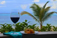 Oceanfront Condo - Four Steps to Beautiful Sugar Beach - Homestays