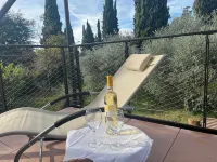 Elegant apartment, villa surrounded by greenery a stone's throw from the lake and the village -  Ferienhäuser
