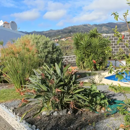 Loreto Rose | Panoramic Ocean and Mountain View