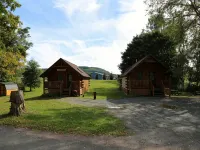Riverfront Cabin West Branch Delaware River Hotels in Deposit