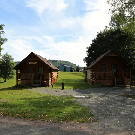 Riverfront Cabin West Branch Delaware River