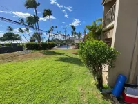 Spectacular Oceanviews Surfrider 1 Bedroom  Perfect South Kihei Location