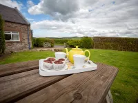 Wild Rose in Rural Location with Lovely Views on a Working Farm with Walks Hotele w: Jedburgh
