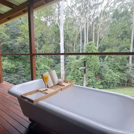 Eucalyptus Escape - Privacy in the Hinterland