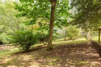 Spacious Mountain Retreat in a Bamboo Grove w/Hot Tub, Games & Fire Pit - 3-Star