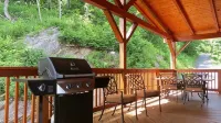 The Treetop Terrace, VIEWS, DECKS, SLEEPS 13