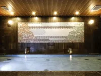 Ever Hotel Takasago Ekimae - น้ำพุร้อน