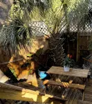 Beach Cottage I,  near the beach, TPC Sawgrass, Mayo Clinic, & Ponte Vedra Beach - Country Houses
