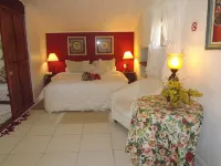 Hotel Vivenda Penedo - suối nước nóng