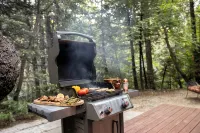 Fairytale Themed Secluded Cabin- Pets ok, King Bed, Fast Wi-Fi!