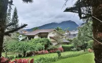 Terrace Villa Golf - Villas