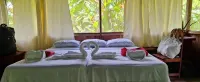 Amazon Tropical Expeditions