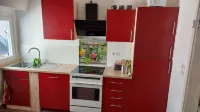 Beautiful Apartment Right on the Rhine; Balcony Facing the Mountains; Central Location - Holiday Apartments