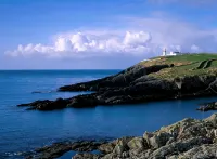 Dunmore House Hotel - Haustierfreundliche