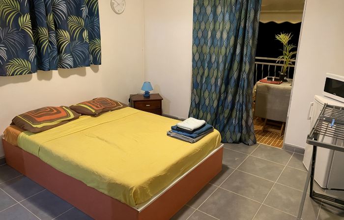 Pleasant studio with sea view