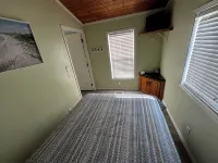 The Sleepy Turtle, with Pool Access!